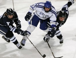 亚盈新体育下载