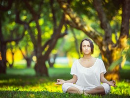 12博手机版下载