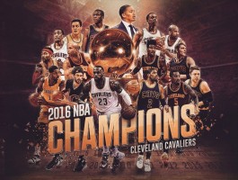 乐米特地板-米乐居地板